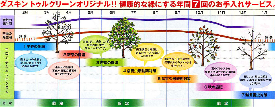 樹木の年間管理プログラム　ダスキン国際トータルグリーン